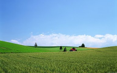 振动给料机发生堵料或者不上料该如何解决?